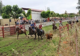 Paso del encierro a caballo hacia la arboleda del río