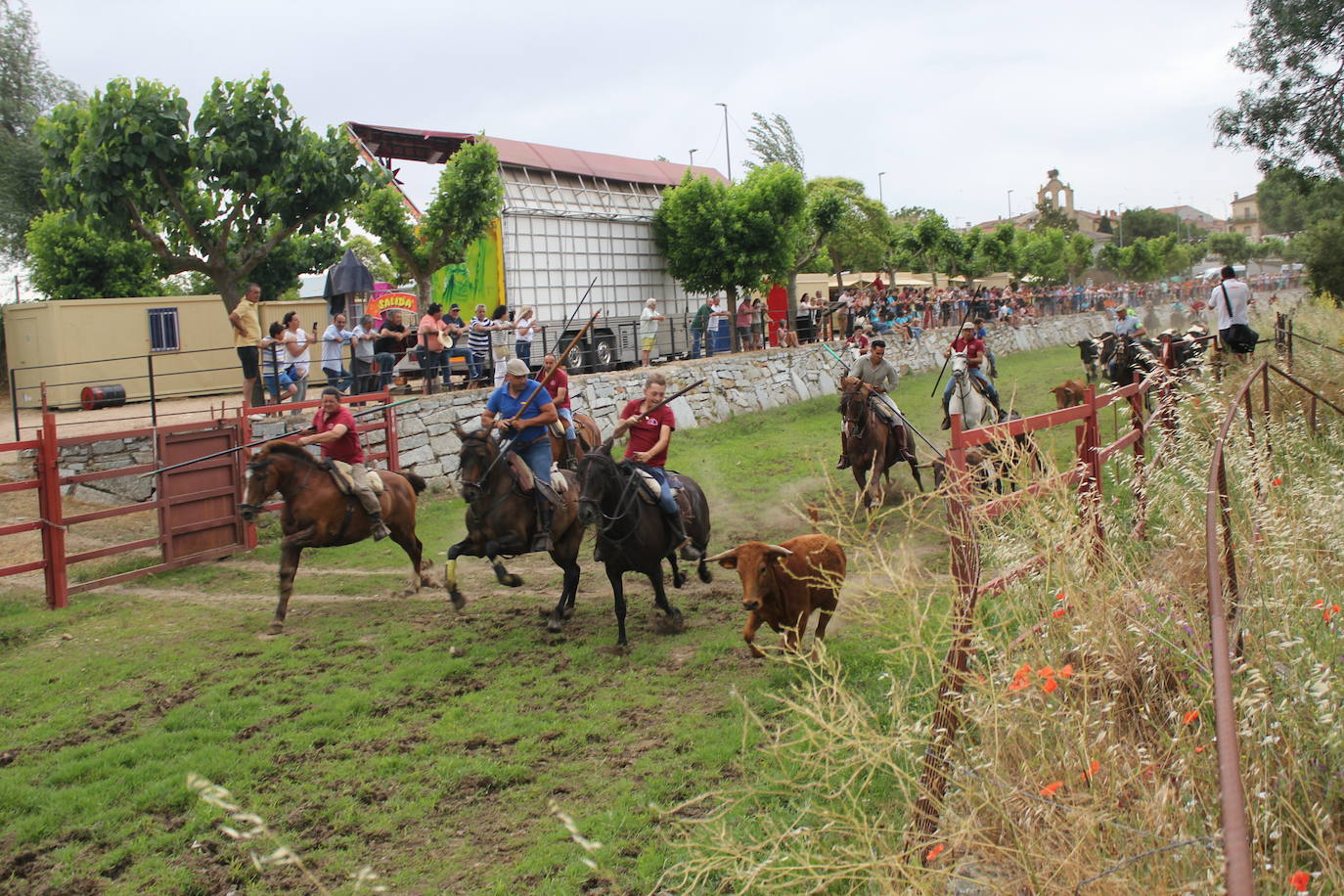 Último y trepidante encierro a caballo en Sancti Spíritus