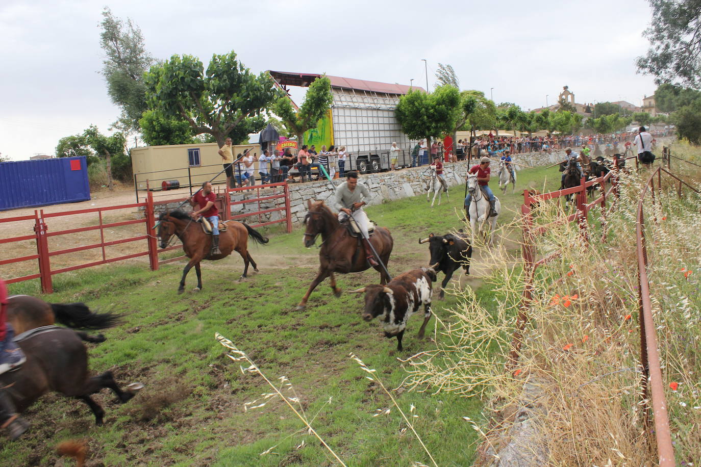 Último y trepidante encierro a caballo en Sancti Spíritus