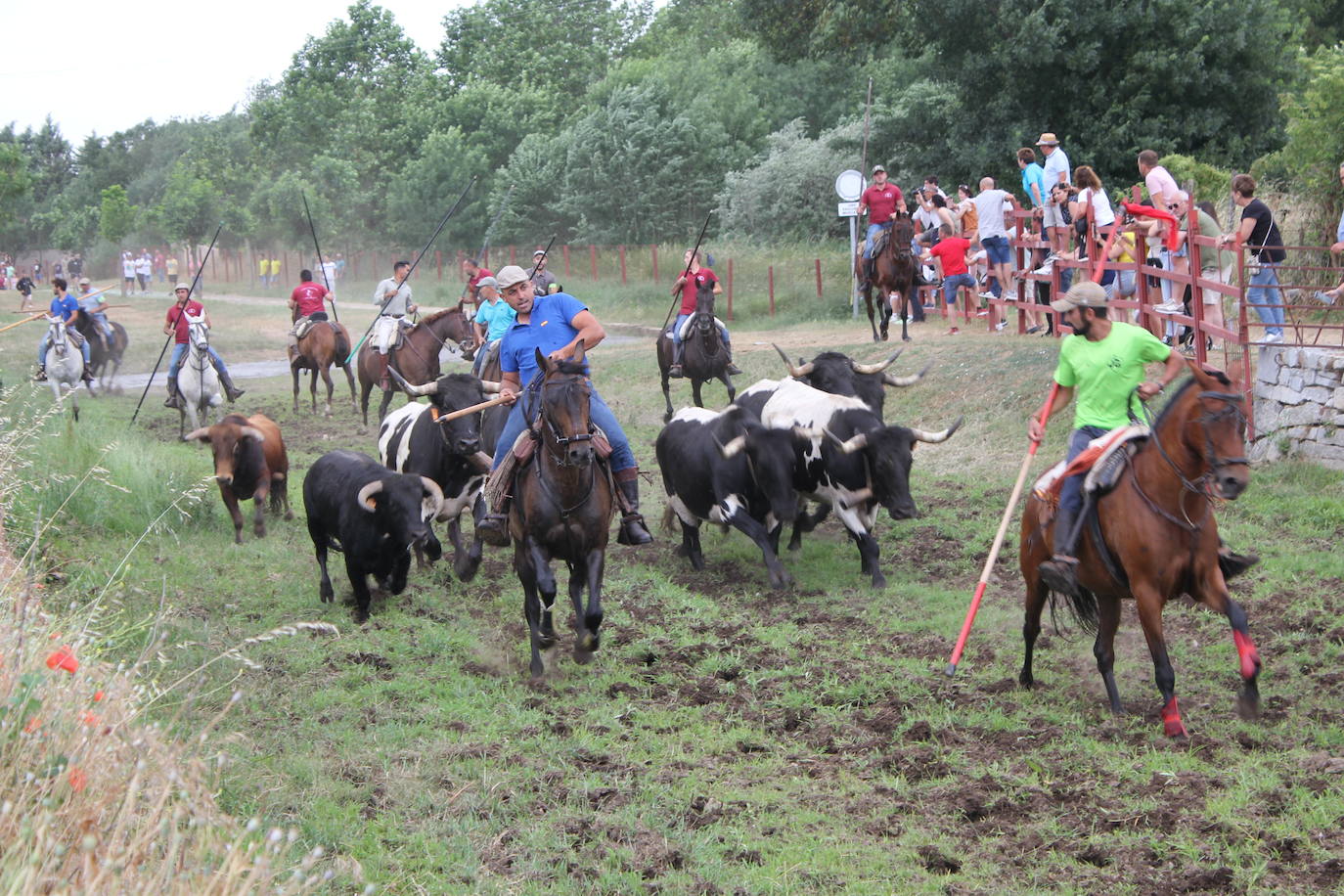 Último y trepidante encierro a caballo en Sancti Spíritus