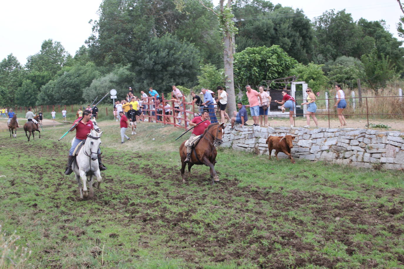 Último y trepidante encierro a caballo en Sancti Spíritus
