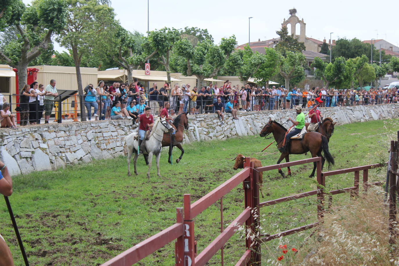 Último y trepidante encierro a caballo en Sancti Spíritus