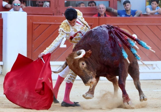 Derechazo de Marco Pérez al toro Rosito, de Núñez del Cuvillo lidiado en Alicante.