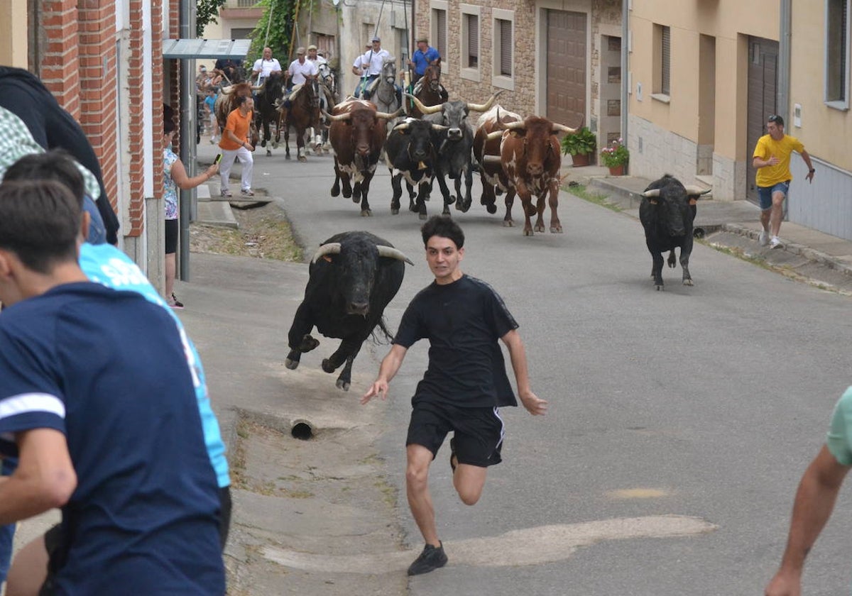 Emoción y riesgo en la primera carrera de Hinojosa de Duero