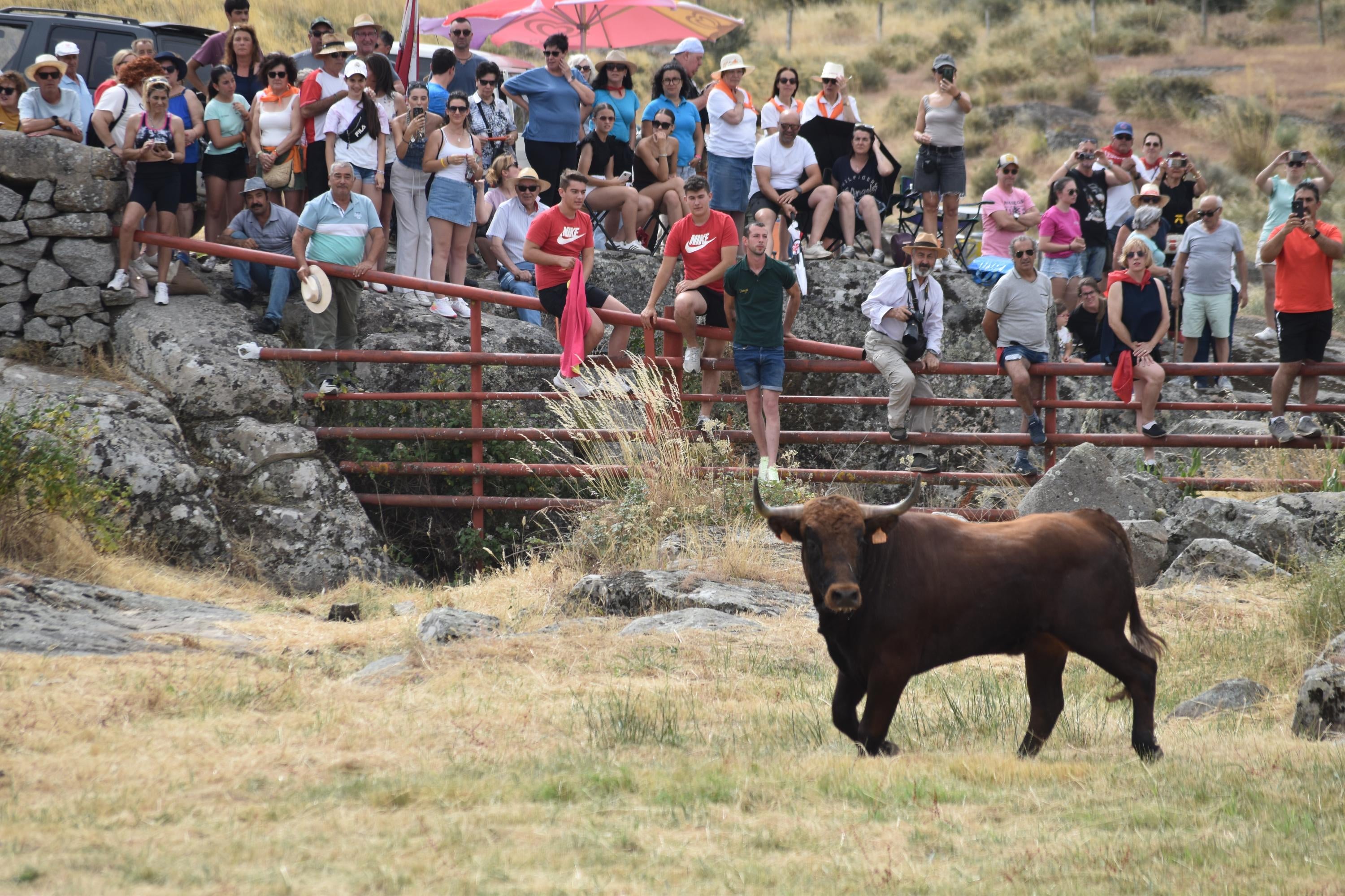 Tradición y riesgo en la última cita de los ‘Espantos’ en Ledesma