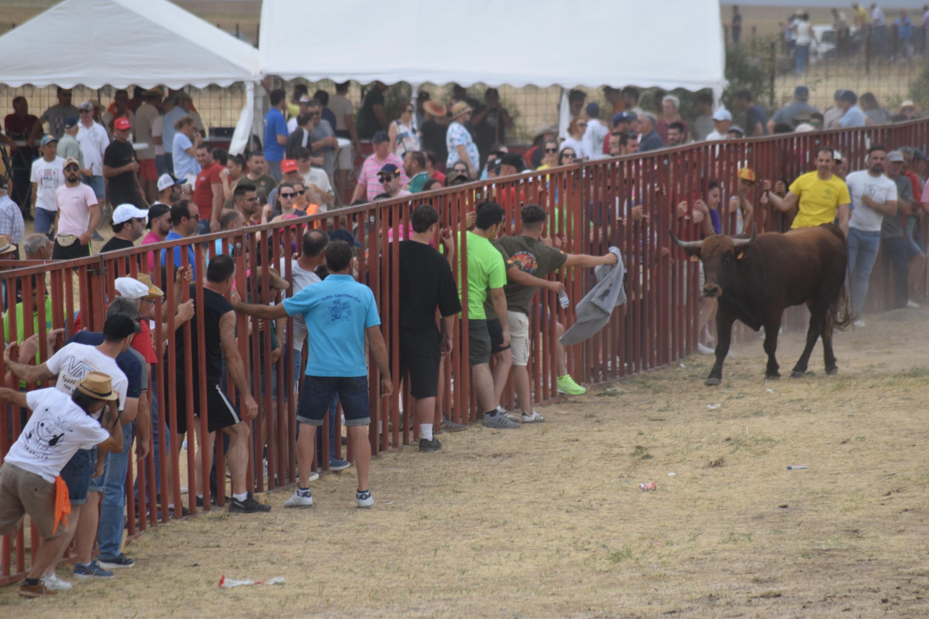 Tradición y riesgo en la última cita de los ‘Espantos’ en Ledesma
