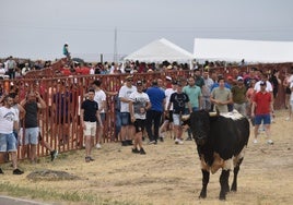 Momento de la cita taurina.