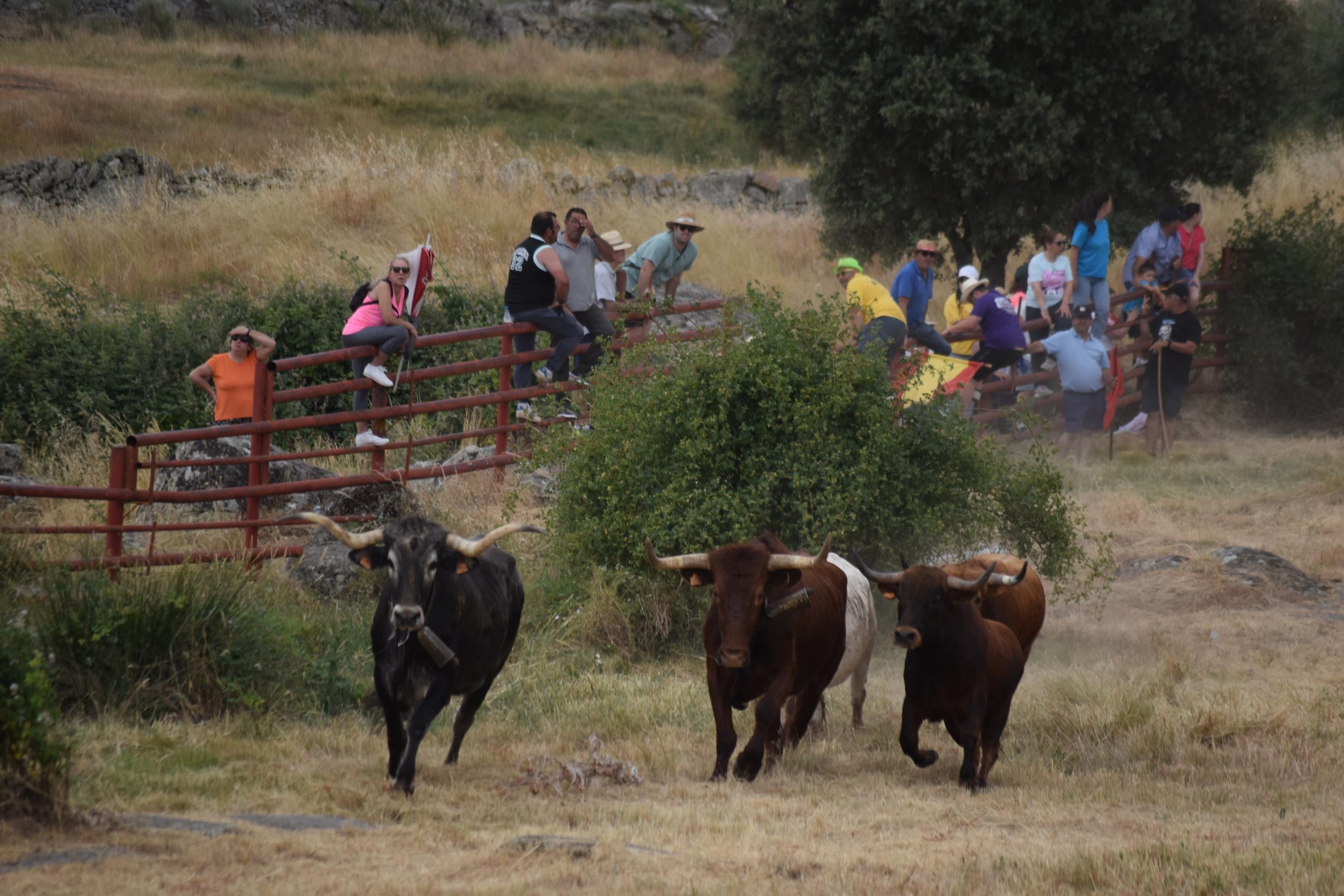 Tradición y riesgo en la última cita de los ‘Espantos’ en Ledesma
