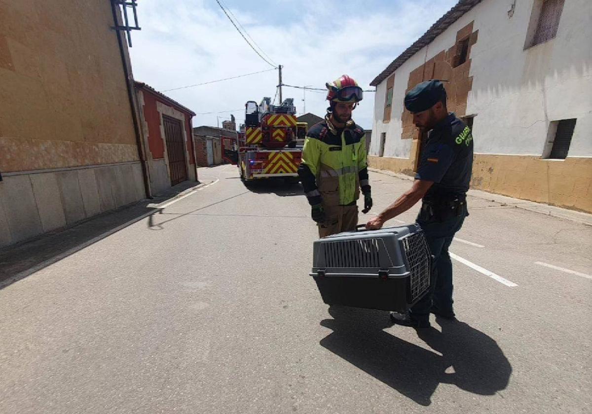 Efectivos del SEPRONA y los Bomberos de la Diputación, durante el rescate.