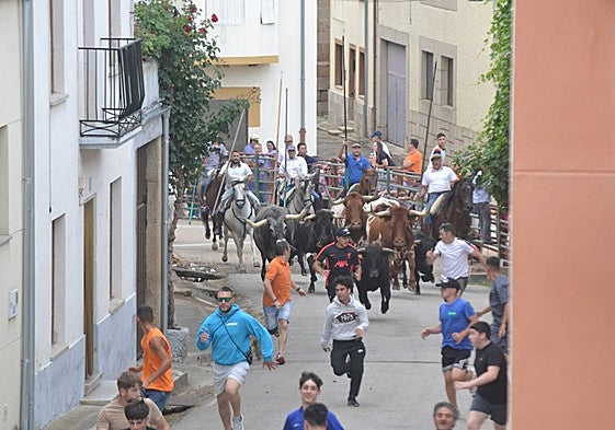 El encierro entrando en el tramo final del recorrido