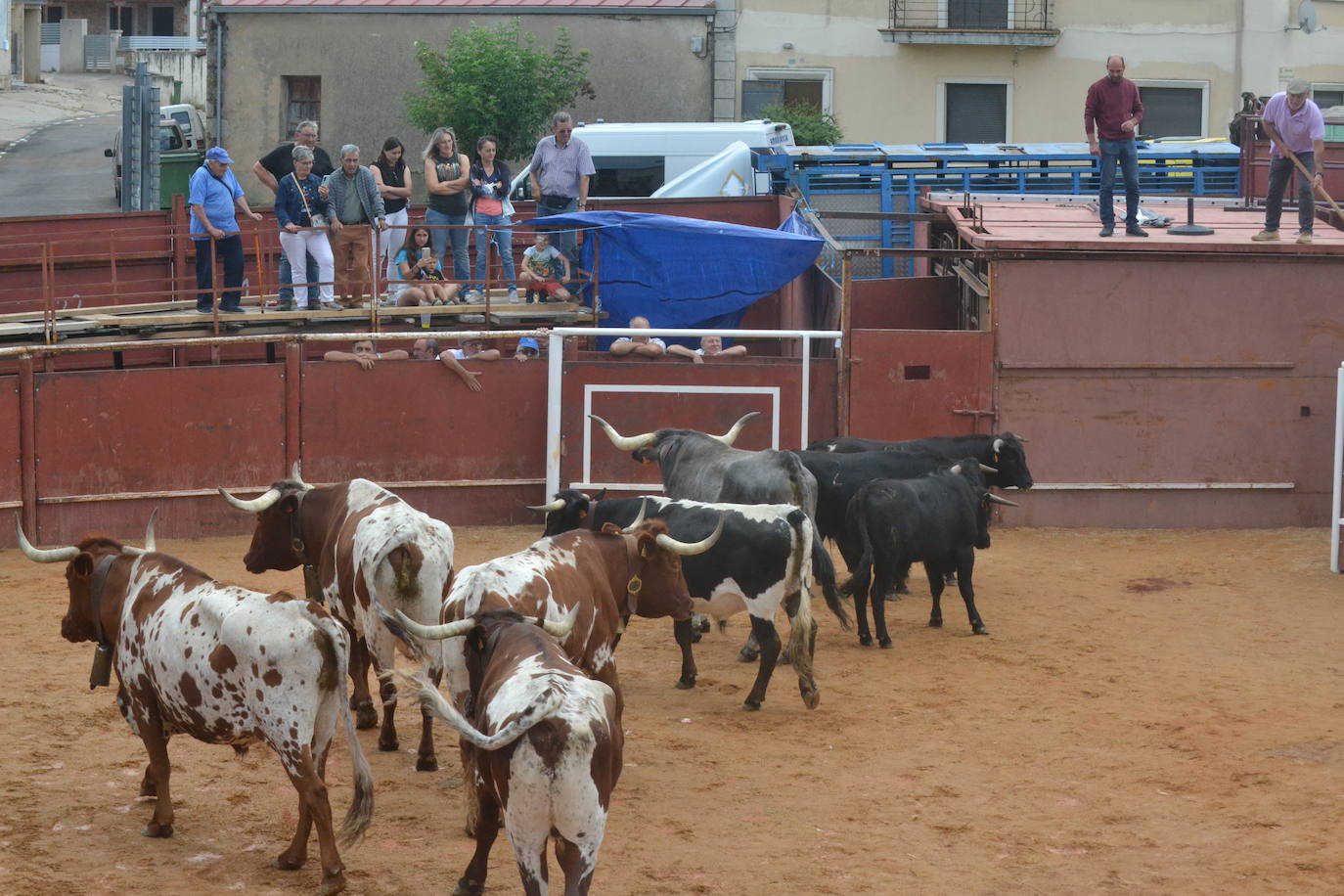 Brillante cierre de San Juan en Hinojosa de Duero