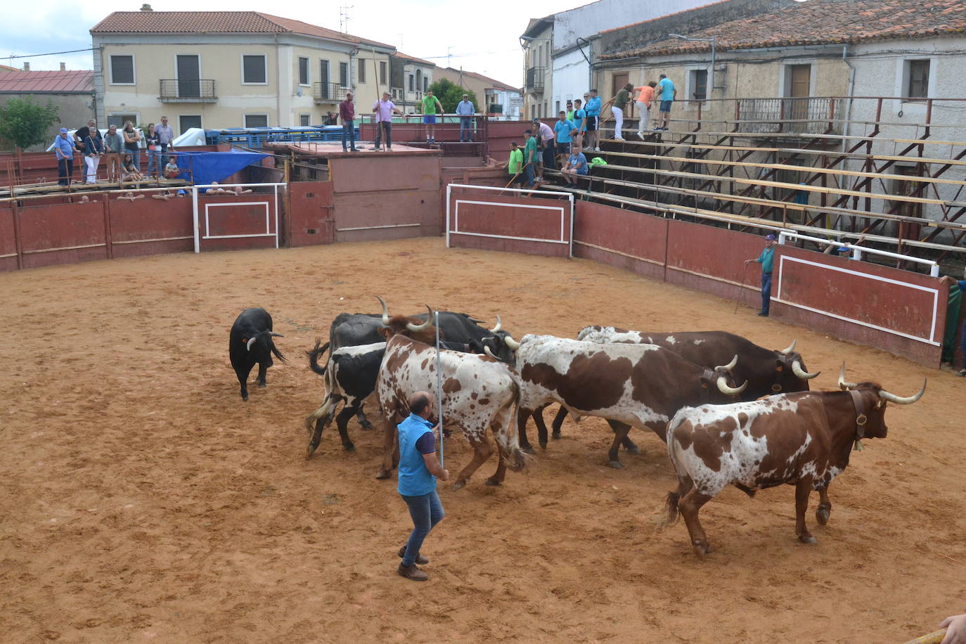 Brillante cierre de San Juan en Hinojosa de Duero