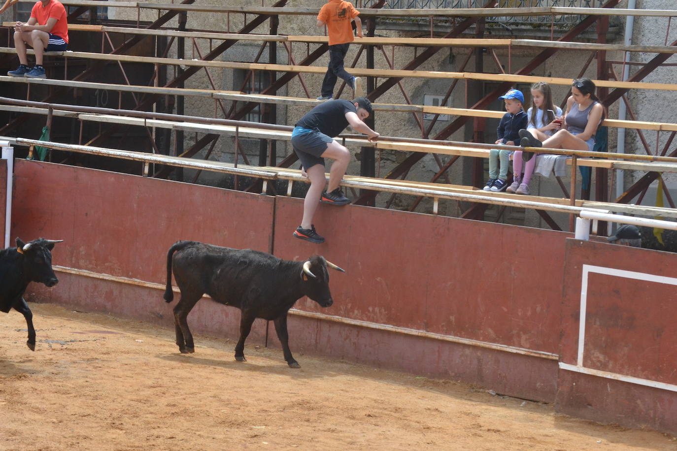Brillante cierre de San Juan en Hinojosa de Duero