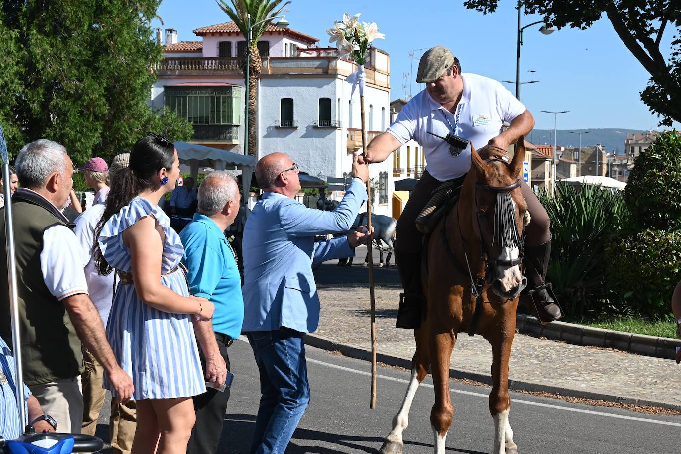La peregrinos de Ciudad Rodrigo ponen rumbo a la Peña de Francia