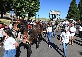 Paso de la imagen de la Virgen por la zona de el Árbol Gordo.