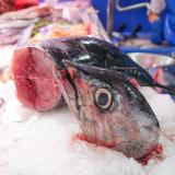 Un bonito de una pescadería del Mercado.