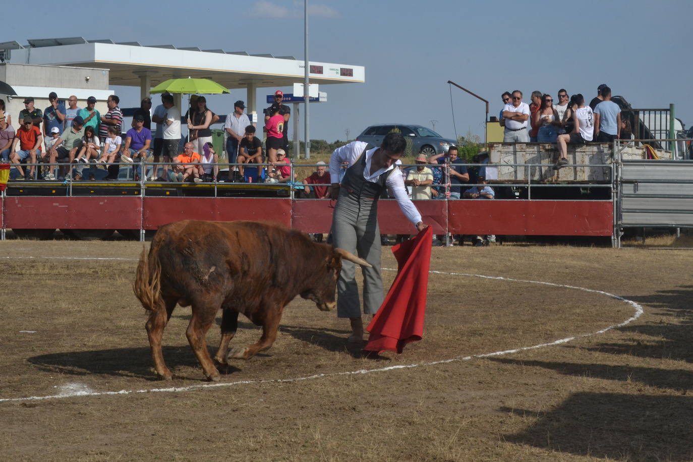 La tauromaquia se rinde a San Pedro en Villar de Peralonso