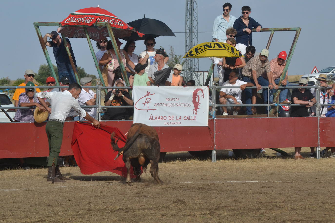 La tauromaquia se rinde a San Pedro en Villar de Peralonso