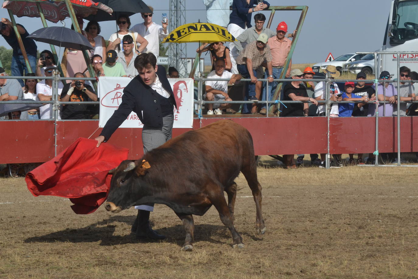 La tauromaquia se rinde a San Pedro en Villar de Peralonso