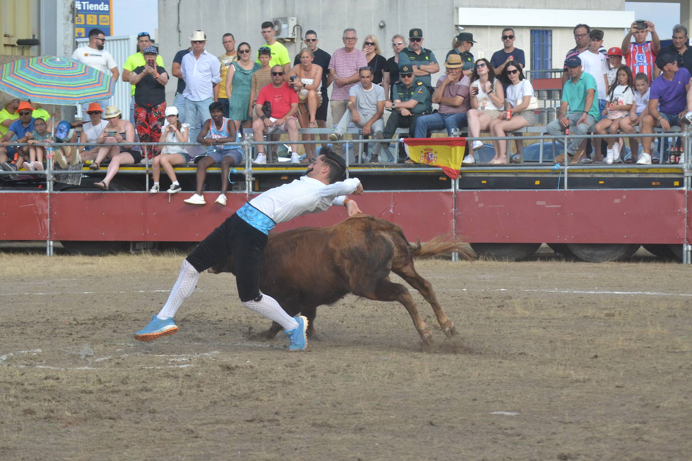 La tauromaquia se rinde a San Pedro en Villar de Peralonso