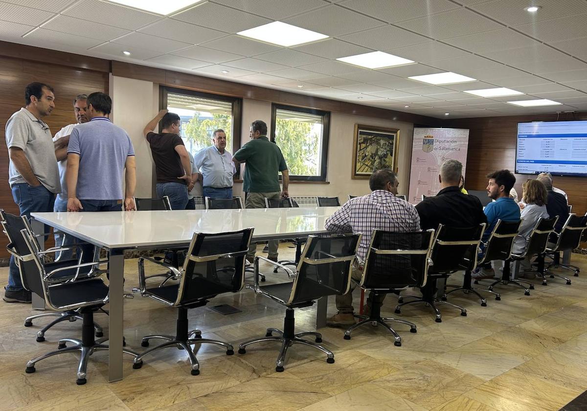 Imagen de la mesa de vacuno de vida instantes antes de celebrarse.