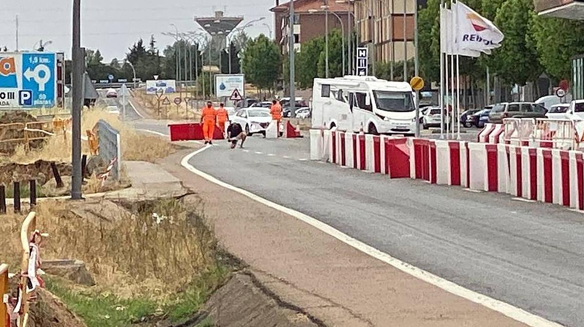 Cierre al tráfico en la Avenida de Saavedra y Fajardo: ocho meses de cortes y desvíos por obras por delante