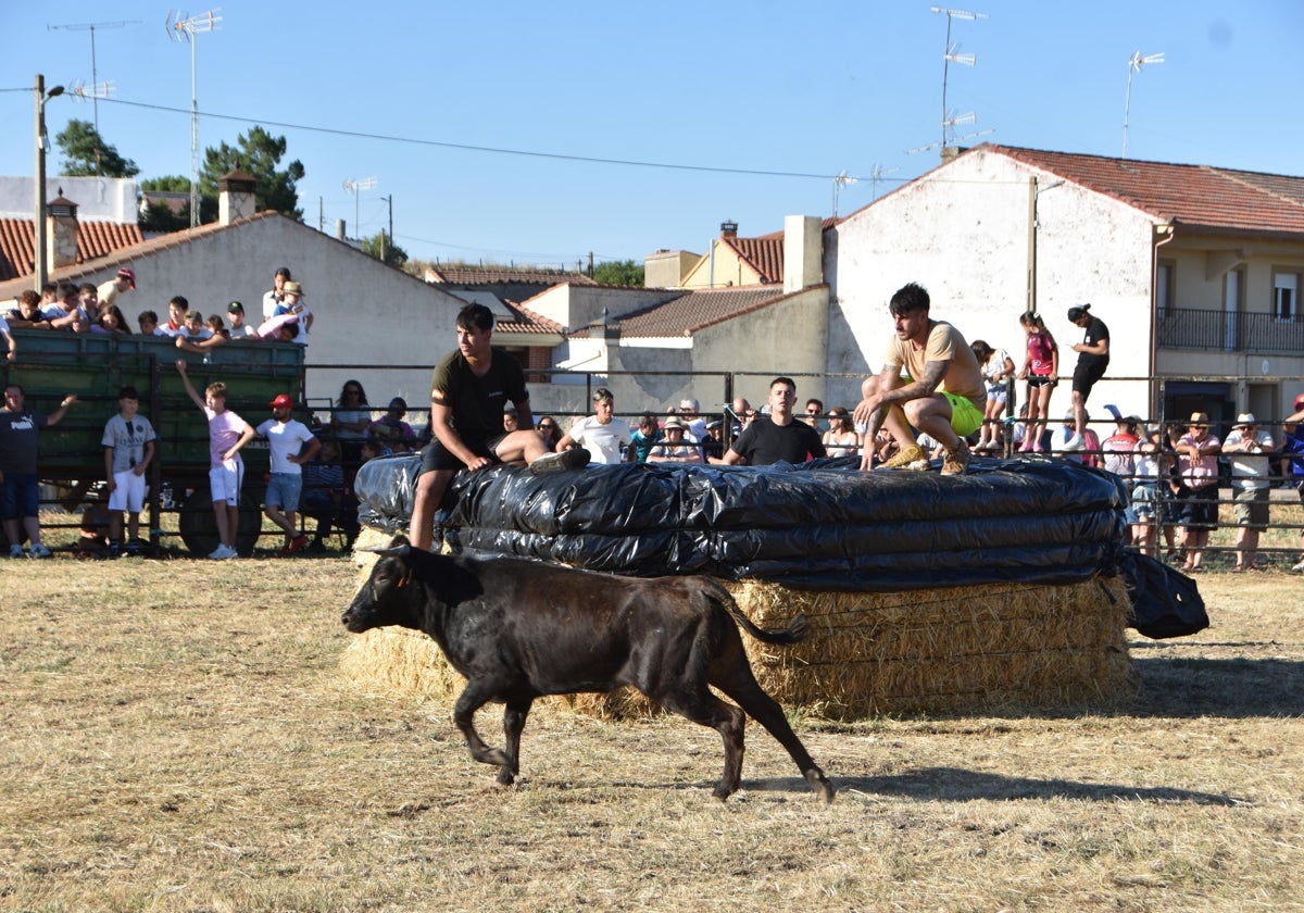 Risas y tradición en el cierre de las fiestas de Forfoleda