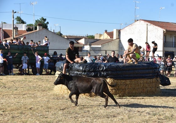 Varios mozos en la piscina improvisada del ruedo de Forfoleda