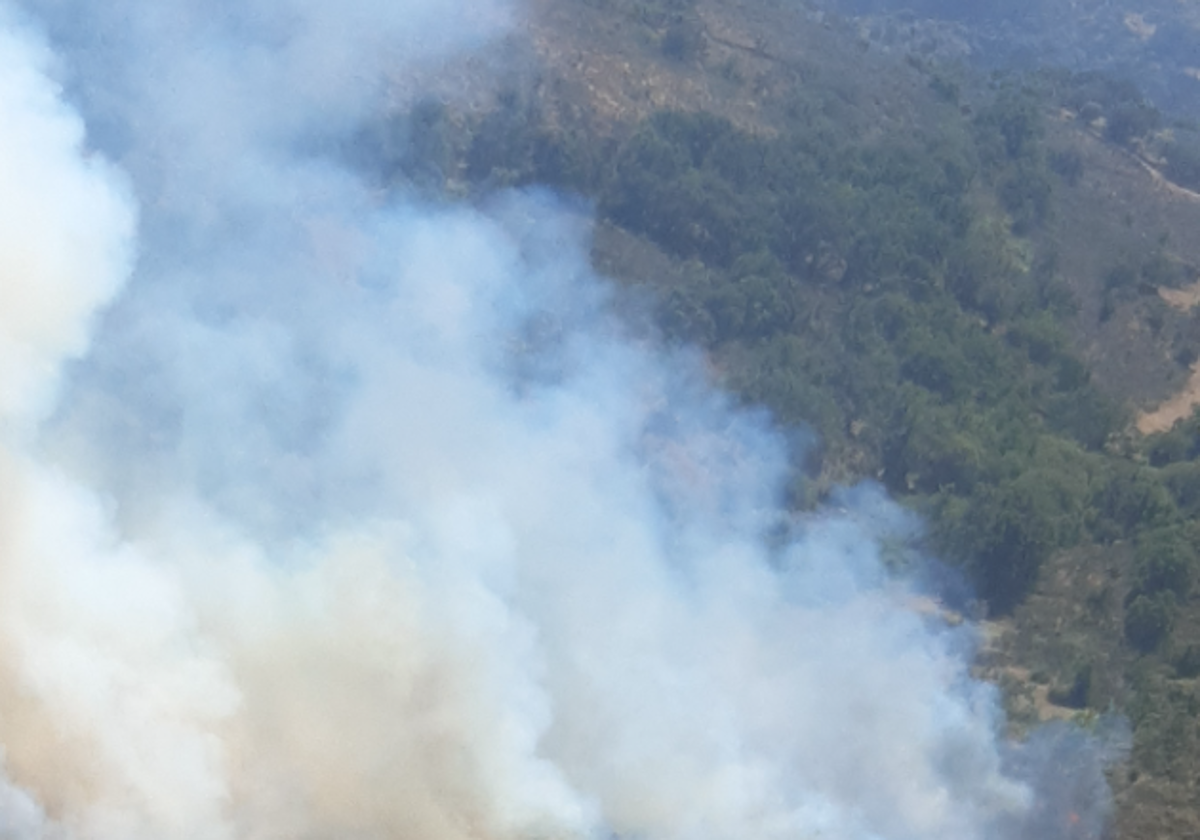 Incendio forestal en Barruecopardo.