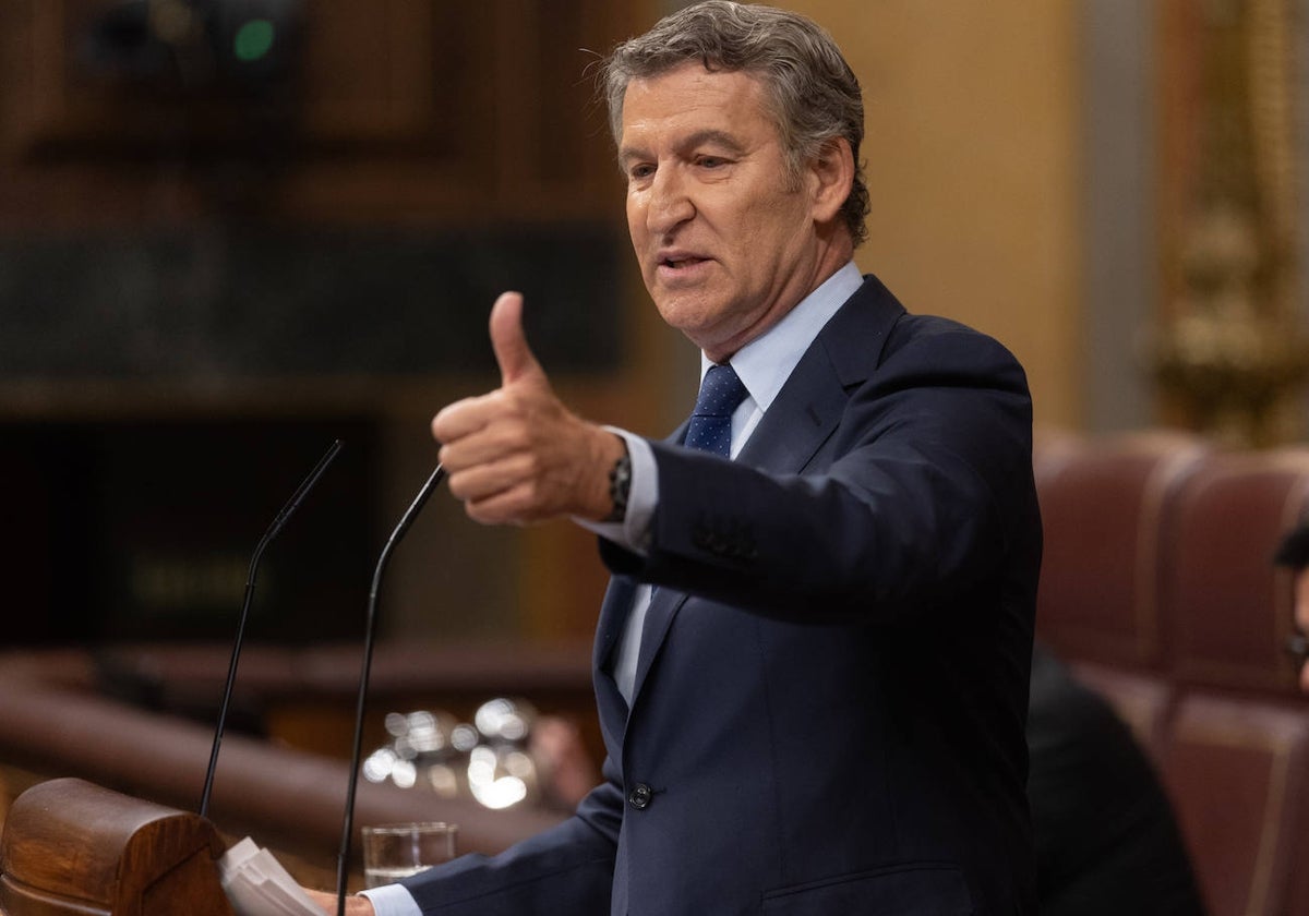 El presidente del PP, Alberto Núñez Feijóo.