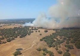 Imagen de un fuego declarado en la Comunidad el año pasado.