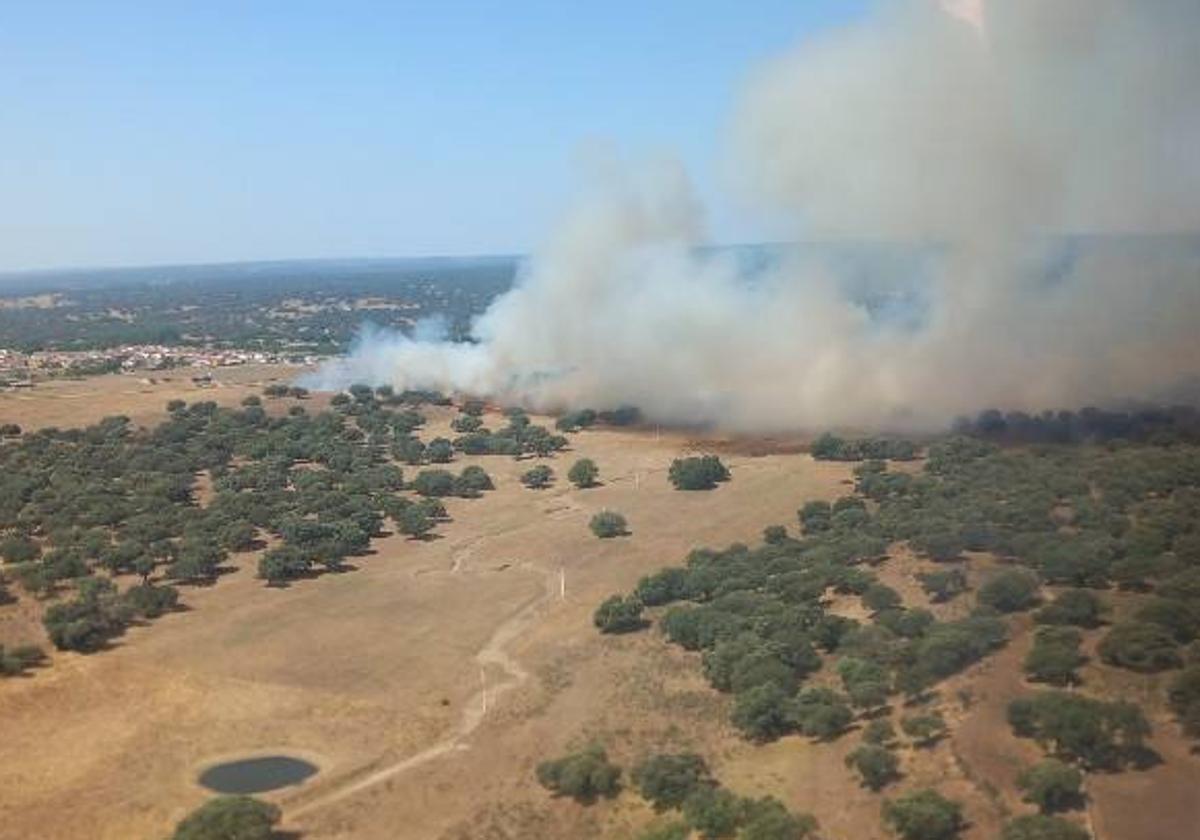 Imagen de un fuego declarado en la Comunidad el año pasado.