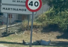 El hombre, tumbado y en actitud indecorosa en la carretera CL-510, a la entrada de Alba de Tormes.
