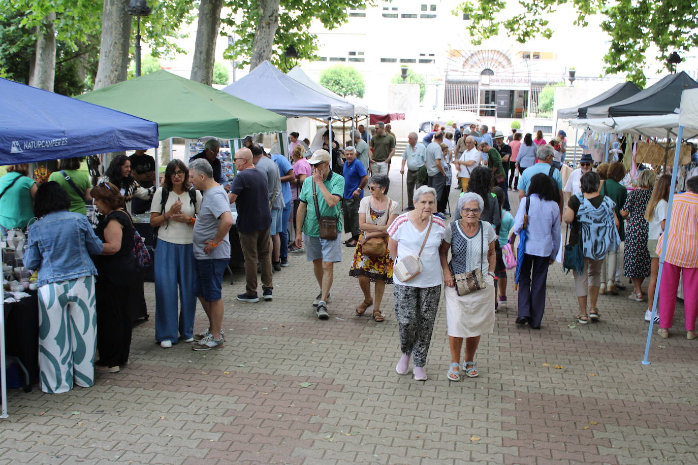 El Festival Internacional de Blues de Béjar llena la ciudad