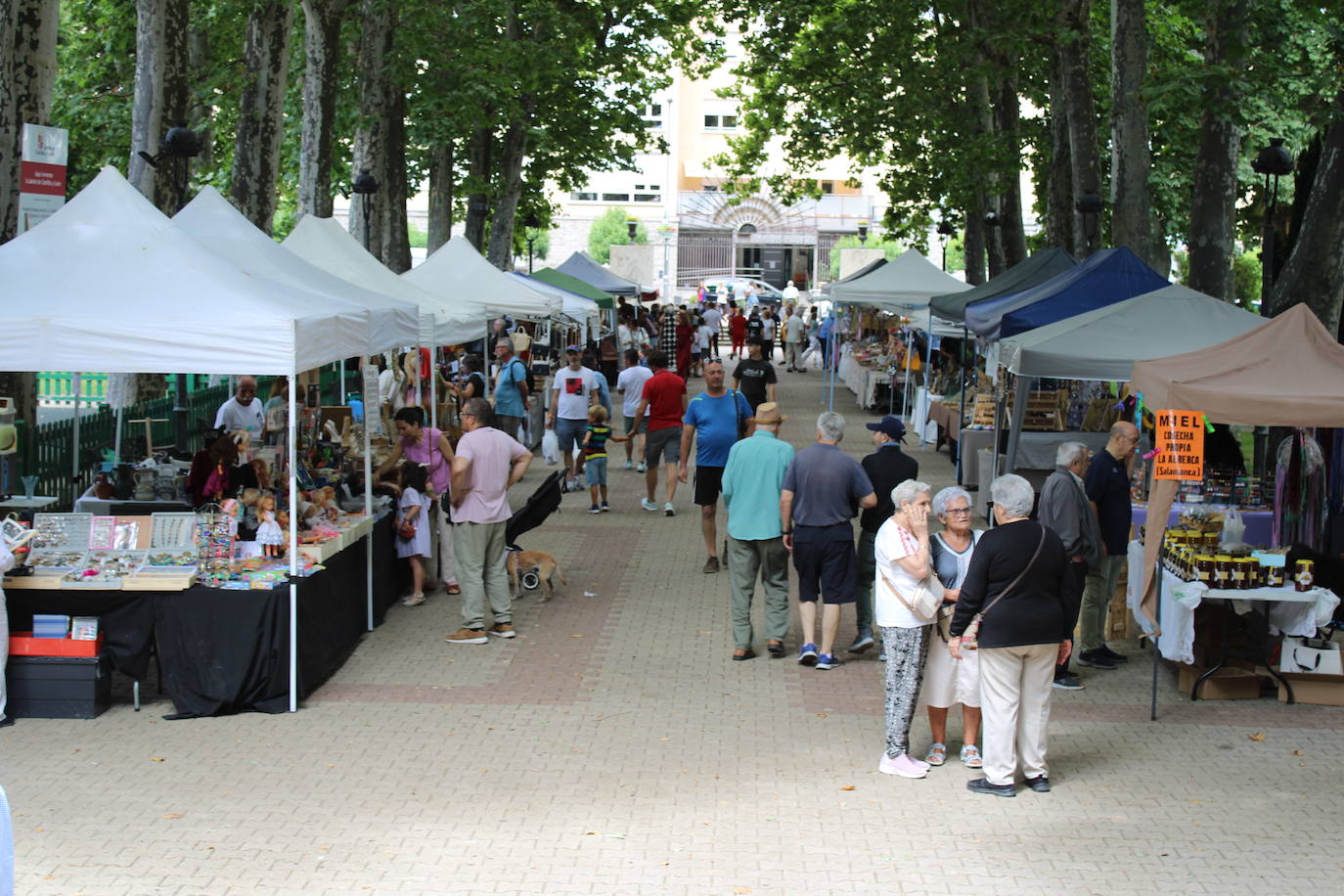 El Festival Internacional de Blues de Béjar llena la ciudad