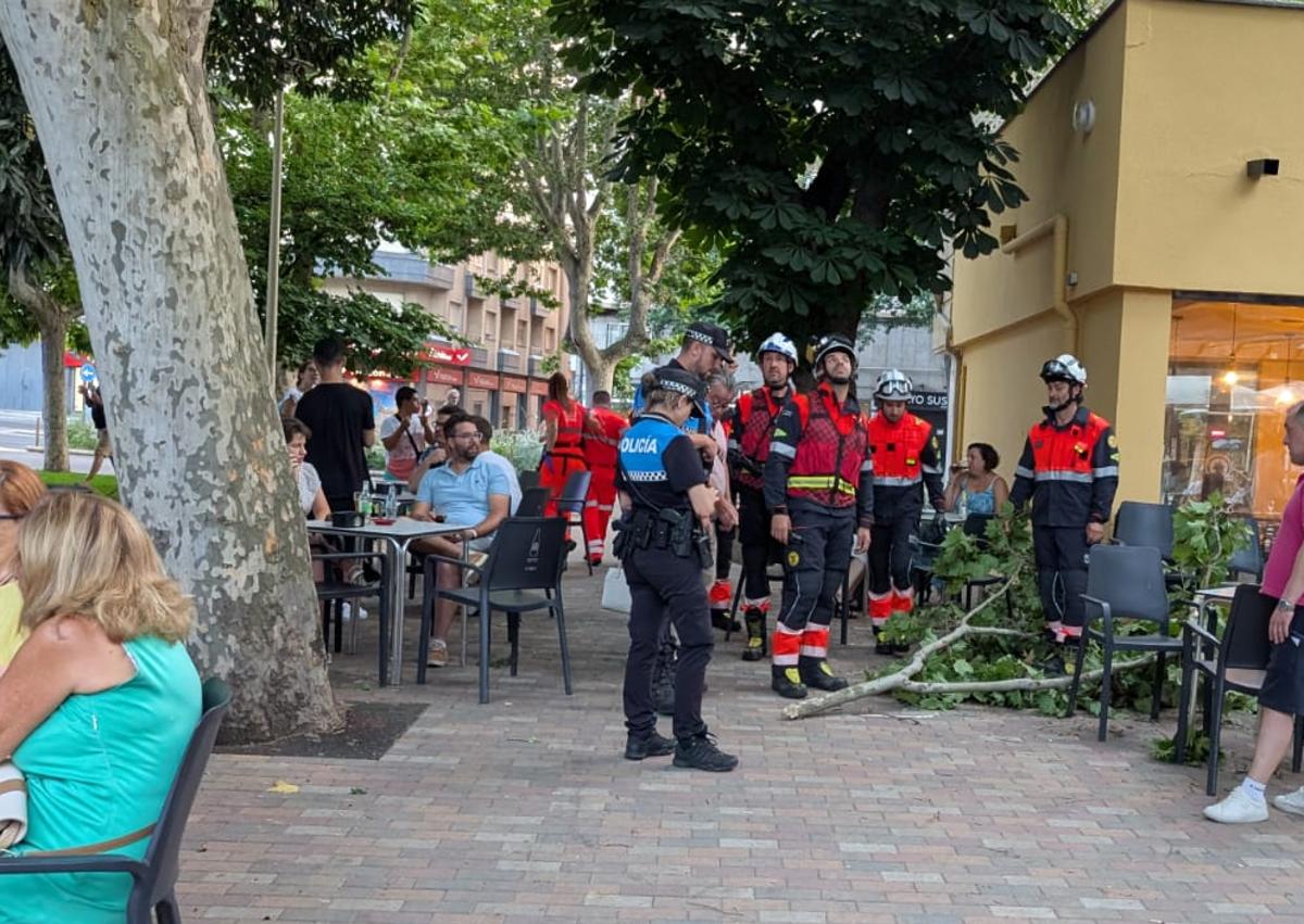 Imagen secundaria 1 - Susto en La Alamedilla: una mujer herida tras el impacto de una rama