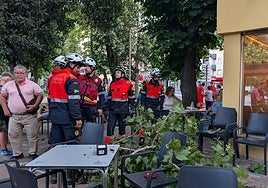 Imagenes del incidente.