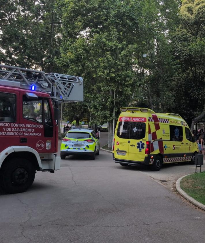 Imagen secundaria 2 - Susto en La Alamedilla: una mujer herida tras el impacto de una rama
