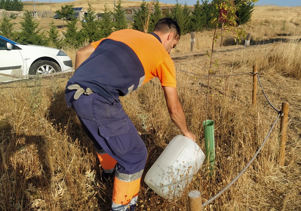 Trabajos de mejora en el Camino de las Mariposas.