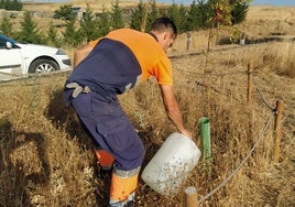 Trabajos de mejora en el Camino de las Mariposas.