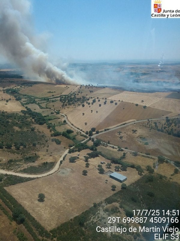 El incendio en Castillejo de Martín Viejo, en imágenes