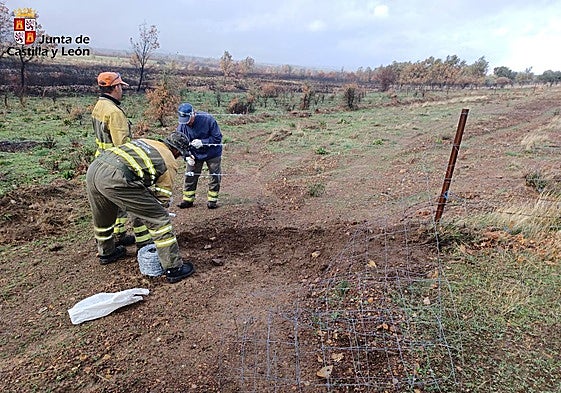 Trabajos de recuperación durante los dias posteriores al incendio.