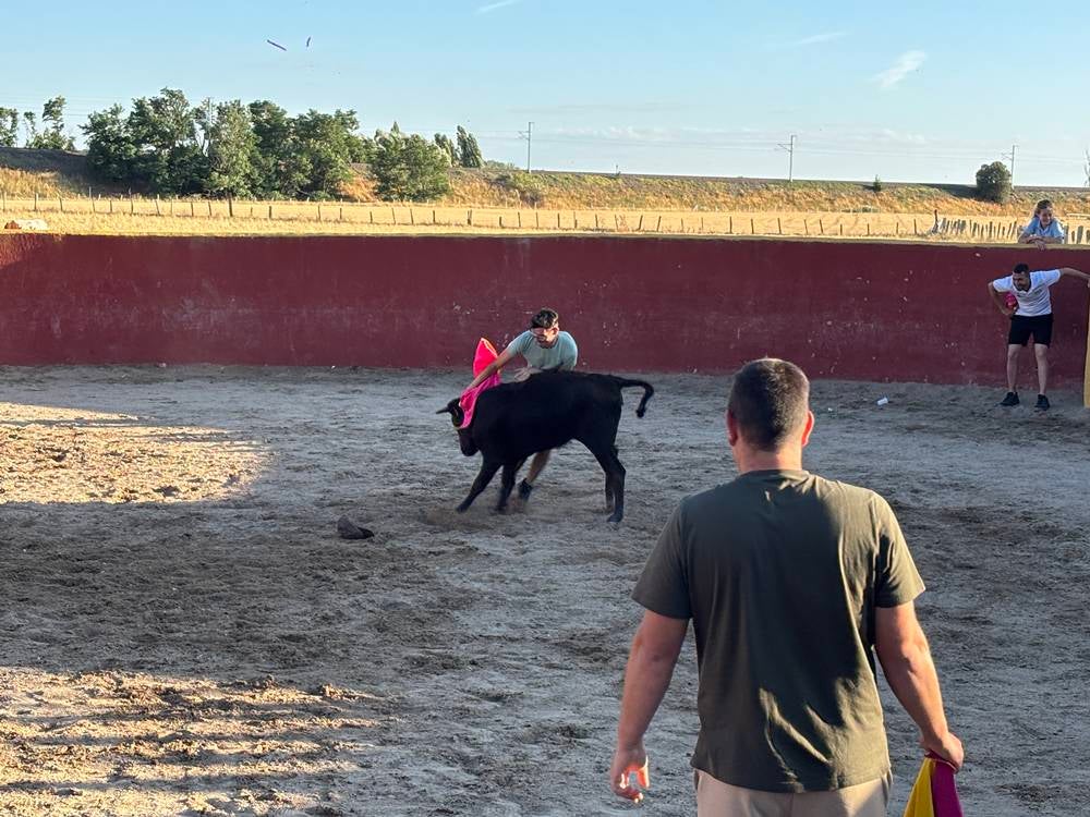 Una soleada tarde taurina compartida entre los vecinos de Palaciosrubios