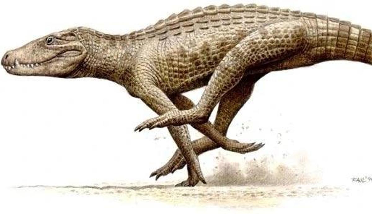 El temible 'velociraptor' salmantino que reinaba en el Tormes