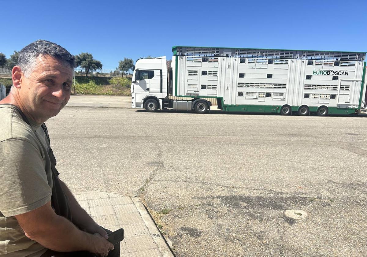 Un mercado en casi dos camiones y «la vaca más grande que he visto»