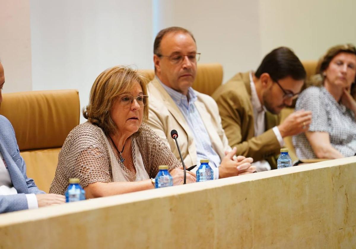 La concejala Isabel Macías durante su intervención.