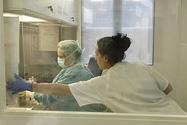 Imagen de archivo de la farmacia del Hospital de Salamanca.