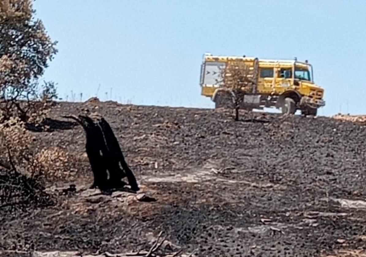 Efectivos neutralizando el incendio de este domingo.
