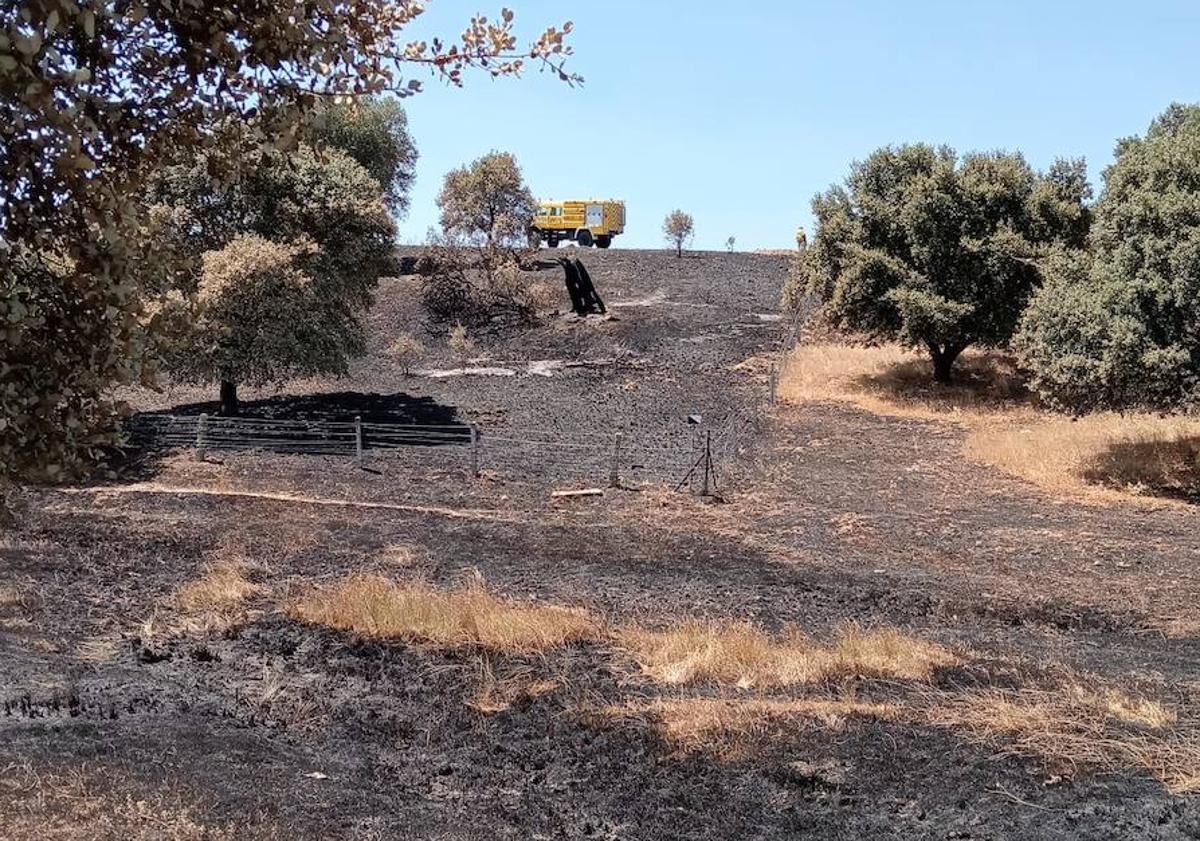 Imagen principal - Medios aéreos y terrestres sofocan un incendio forestal en Martín de Yeltes