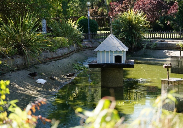 «Da mucha tristeza ver el estanque así, vacío y a los pobres patos casi sin agua»